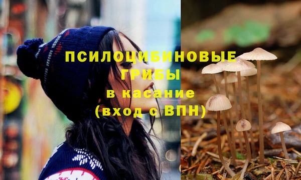 кристаллы Покачи