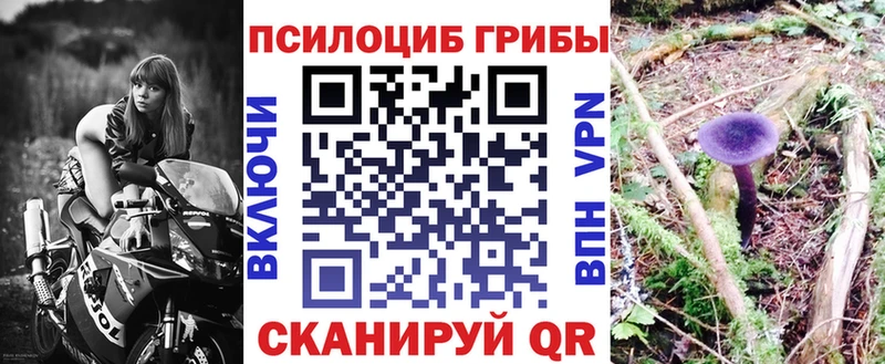 Галлюциногенные грибы Cubensis  купить   Суоярви 