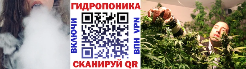 Шишки марихуана OG Kush  ОМГ ОМГ ONION  Суоярви 